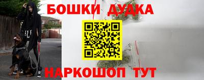 таблы Дубна
