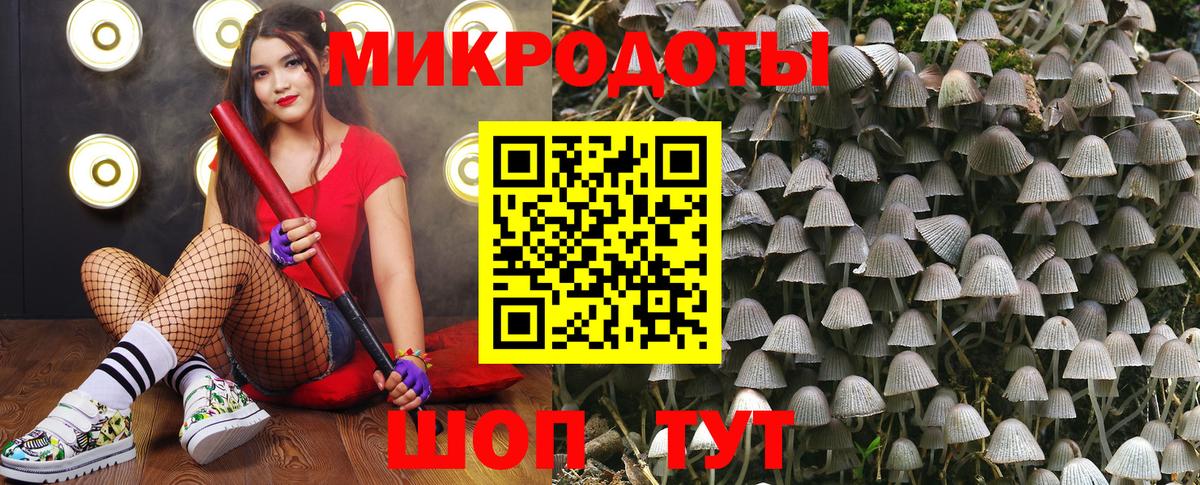 Галлюциногенные грибы мухоморы Минусинск