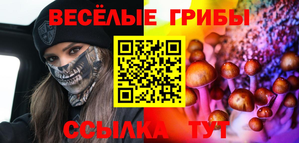Минусинск  Псилоцибиновые грибы прущие грибы  Вход с VPN 