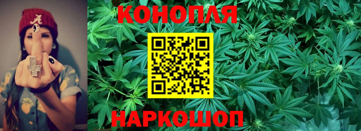 Канабис сатива Минусинск